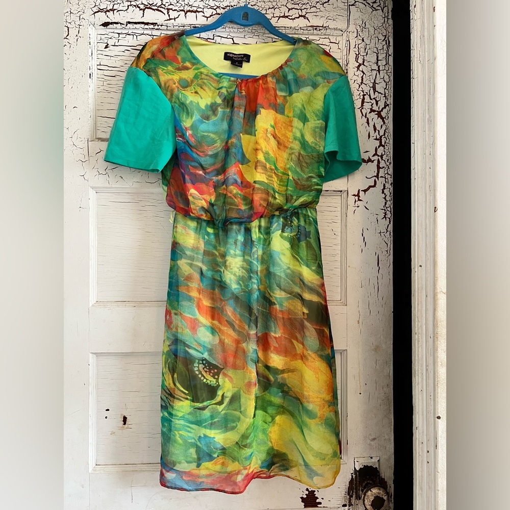 Signature by Robbie Bee Chiffon Dress